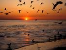 Fondos de escritorio y pantalla de Playas Nocturnas